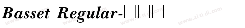 Basset Regular字体转换